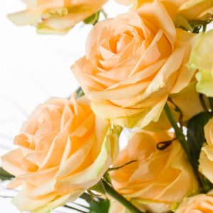 10 zalmkleurige rozen - Avalanche Peach | Rozen online bestellen & versturen | Surprose.nl