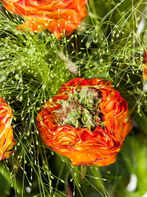 10 oranje Grassheart rozen | Rozen online bestellen & versturen | Surprose.nl