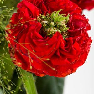 10 rode Grassheart rozen | Rozen online bestellen & versturen | Surprose.nl