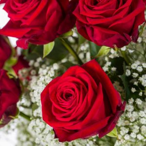 15 rode rozen met gipskruid (XXL rozen) | Rozen online bestellen & versturen | Surprose.nl