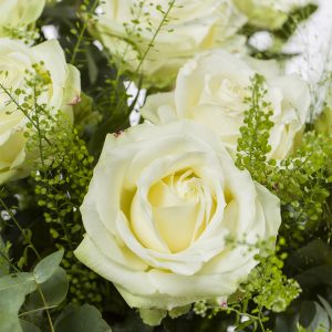 10 witte rozen met eucalyptus | Rozen online bestellen & versturen | Surprose.nl