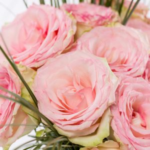 15 roze rozen met beregras | Rozen online bestellen & versturen | Surprose.nl