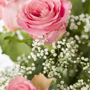 15 roze rozen met gipskruid | Rozen online bestellen & versturen | Surprose.nl