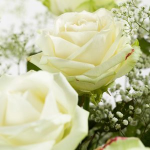 15 witte rozen met gipskruid | Rozen online bestellen & versturen | Surprose.nl