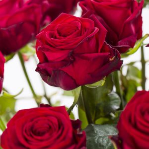20 rode rozen - Red Naomi | Rozen online bestellen & versturen | Surprose.nl