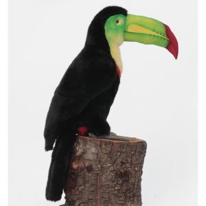 Pluche Toukan van 40 cm