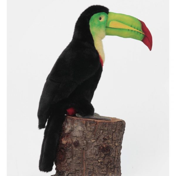 Pluche Toukan van 40 cm