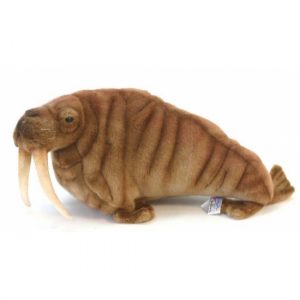 Pluche walrussen 38 cm