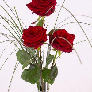 Drie rode rozen, inclusief vaasje | Rozen online bestellen & versturen | Surprose.nl