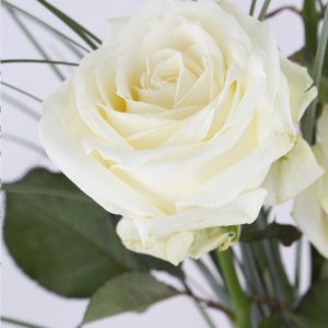 Drie witte rozen inclusief glasvaas en Lindt Pralines | Rozen online bestellen & versturen | Surprose.nl