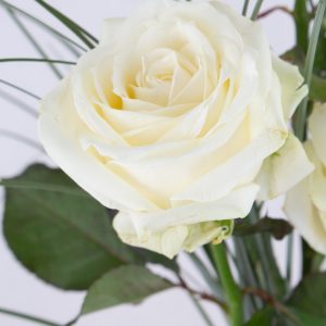 Drie witte rozen, inclusief vaasje | Rozen online bestellen & versturen | Surprose.nl
