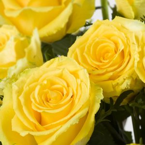 30 gele rozen - Good Times | Rozen online bestellen & versturen | Surprose.nl
