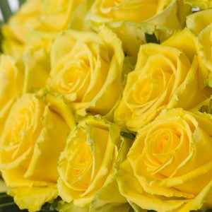 Gele rozen met botanisch blad | Rozen online bestellen & versturen | Surprose.nl