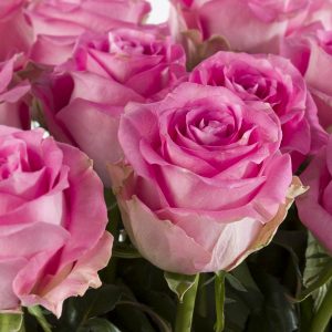 30 roze rozen - Avalanche Candy | Rozen online bestellen & versturen | Surprose.nl