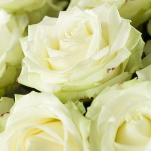 30 witte rozen - Avalanche | Rozen online bestellen & versturen | Surprose.nl