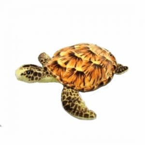 Knuffel zeeschildpad van 34 cm