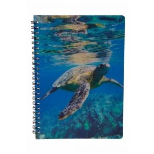 Schriftje schildpad 3D 21cm