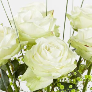 7 witte rozen in een wolk van gipskruid | Rozen online bestellen & versturen | Surprose.nl