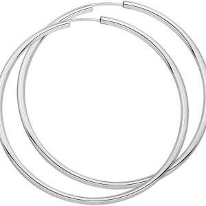 TFT Creolen Ronde Buis Zilver Glanzend 2.5 mm x 60 mm