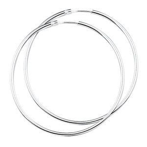 TFT Oorringen zilver Ronde buis 2 x 44 mm