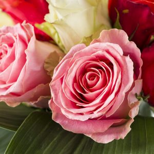 Oranje-wit-roze biedermeier boeket | Rozen online bestellen & versturen | Surprose.nl