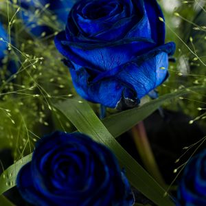 20 blauwe rozen met panicum | Rozen online bestellen & versturen | Surprose.nl