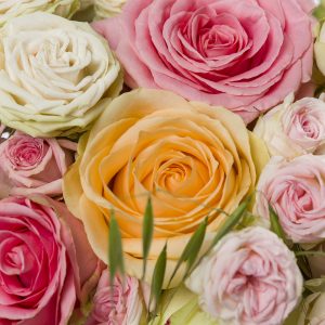 Gemengde rozen met tarwegras | Rozen online bestellen & versturen | Surprose.nl
