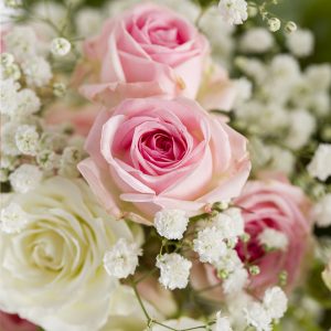 Pastelmix trosrozen met gipskruid | Rozen online bestellen & versturen | Surprose.nl