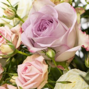 Pastel getinte rozen met eucalyptus | Rozen online bestellen & versturen | Surprose.nl