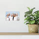 Foto op aluminium - Geborsteld (ChromaLuxe) - 15 x 10
