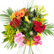 Bloemen - Boeket Bontgekleurd (Groot)