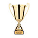 Trofee - Goud