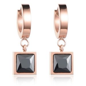 Cilla Jewels Damesoorbellen met Monochrome Zirkonia