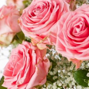10 roze rozen met gipskruid (XXL rozen) | Rozen online bestellen & versturen | Surprose.nl