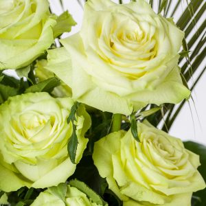 Groene rozen met tarwegras - Camouflage | Rozen online bestellen & versturen | Surprose.nl
