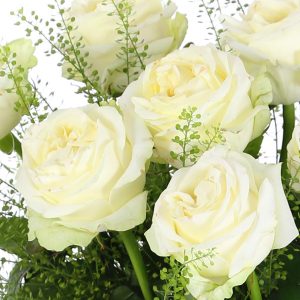 10 luxe witte rozen | Rozen online bestellen & versturen | Surprose.nl