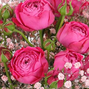 Boeket roze trosrozen | Rozen online bestellen & versturen | Surprose.nl