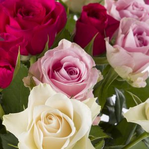Roze festival van 30 rozen | Rozen online bestellen & versturen | Surprose.nl