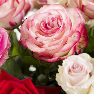 Rozenboeket roze-rood | Rozen online bestellen & versturen | Surprose.nl