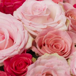 Zoete mix 3x10 | Rozen online bestellen & versturen | Surprose.nl