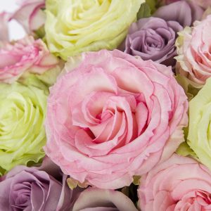 Luxe Engelse pastelmix | Rozen online bestellen & versturen | Surprose.nl