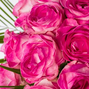 Tropisch rozenboeket - Avalanche Candy | Rozen online bestellen & versturen | Surprose.nl