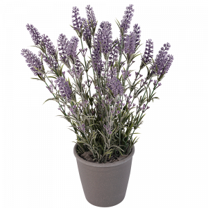 Grote zijde lavendel in pot