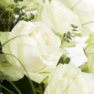 Wit rozenboeket met beregras | Rozen online bestellen & versturen | Surprose.nl