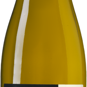 Weingut Michel Riesling Trocken