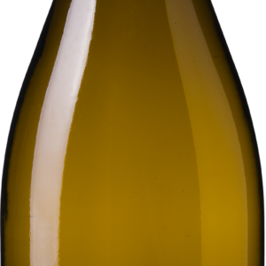 Calle Principal Sauvignon Blanc Edicion Limitada