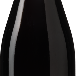Viñas del Bierzo Valmagaz Mencía
