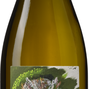 Domaine de La Jasse Terroir Sauvage 'Petit Duc'