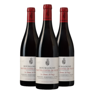 Hautes Cotes de Nuits, Antonin Guyon &apos;Dames de Vergy&apos;