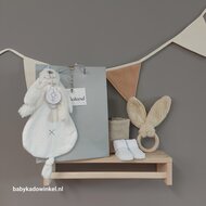 Babycadeautasje met knuffeldoekje en bijtring